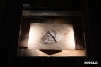 Диковинные «Антики» уже в Туле: в Нимфозориуме открылась выставка об «археологии повседневности», Фото: 8