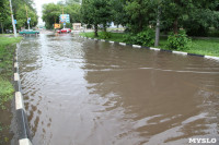 Потоп в Заречье 30 июня 2016, Фото: 29