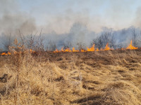 В Федоровке огонь с горящего поля едва не перекинулся на дома, Фото: 24