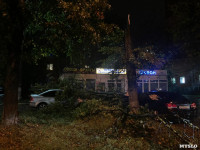 26 упавших деревьев, сорванная крыша и один пострадавший, Фото: 2