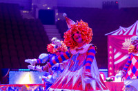 Цирковое шоу 5 континентов , Фото: 2