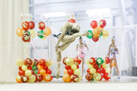 Художественная гимнастика. «Осенний вальс-2015»., Фото: 144