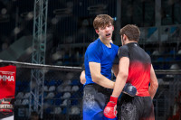 В «Тула-Арене» состоялись областные соревнования по ММА, Фото: 23