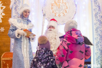В Туле открылась резиденция Деда Мороза, Фото: 74