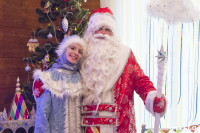 В Туле открылась резиденция Деда Мороза, Фото: 47