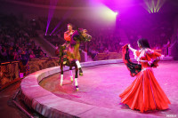 Шоу Гии Эрадзе «5 континентов» в Тульском цирке: феерия уже началась!, Фото: 97