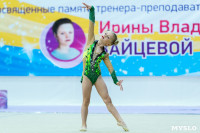 Тула провела крупный турнир по художественной гимнастике, Фото: 59