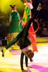 Успейте посмотреть шоу «Новогодние приключения домовенка Кузи» в Тульском цирке, Фото: 50