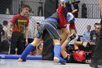 В Новомосковске прошел Чемпионат и Первенство Тульской области по ММА, Фото: 213