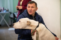 Выставка собак в ДК "Косогорец", Фото: 48