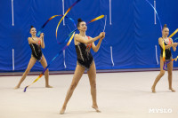 В Туле стартовало первенство Центрального федерального округа по художественной гимнастике, Фото: 65