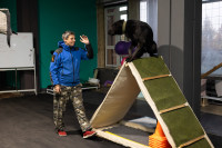 Хвостатые волонтеры: как собаки ищут пропавших живых и мертвых, Фото: 25