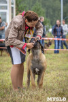 Международная выставка собак, Барсучок. 5.09.2015, Фото: 25