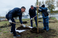 Администрация Тулы вместе с депутатами высадили клёны во дворе дома для военнослужащих в Туле, Фото: 9