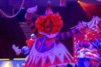 Цирковое шоу 5 континентов , Фото: 4