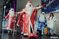 "Битва Дедов Морозов" в Центральном парке, Фото: 18