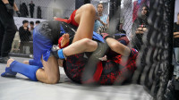 В Новомосковске прошел Чемпионат и Первенство Тульской области по ММА, Фото: 40