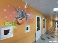 В Туле возобновил работу инфекционный корпус детской областной больницы, Фото: 6