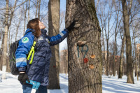 В Белоусовском парке спиливают деревья, Фото: 5