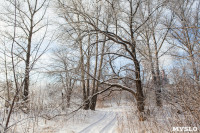 Зимняя сказка по-тульски, Фото: 46