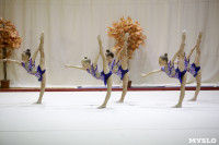 Соревнования по художественной гимнастике "Осенний вальс", Фото: 137