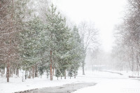 Мартовский снег в Туле, Фото: 74