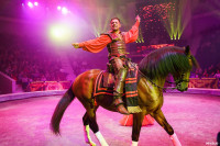 Шоу Гии Эрадзе «5 континентов» в Тульском цирке: феерия уже началась!, Фото: 96