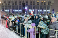 На площади Ленина прошло закрытие главной городской ёлки, Фото: 70