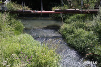 Туляк: «Два месяца в Воронку льется канализация, но никто не реагирует», Фото: 3