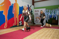 В Туле прошла выставка собак всех пород, Фото: 95