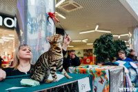 Выставка "Пряничные кошки" в ТРЦ "Макси", Фото: 60