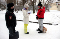 Тульским собаководам разъяснили правила выгула собак, Фото: 5