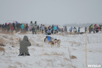 Гонки на собачьих упряжках «Большой тур» на Куликовом поле, Фото: 35