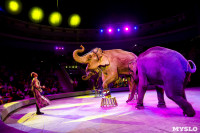 Цирк Инди Ра, Фото: 69