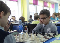 Тульская областная федерация шахмат, Фото: 1