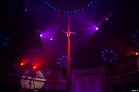 Выпускной бал в Тульском цирке, Фото: 27