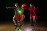 В Туле пройдет Международный детский и молодежный цирковой фестиваль «На языке мира», Фото: 7
