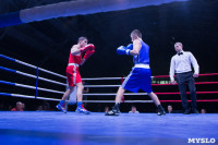 В Туле прошли финальные бои Всероссийского турнира по боксу, Фото: 39