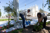 Зеленая акция на проспекте Ленина, Фото: 41