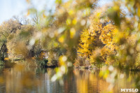 Золотая осень в Ясной Поляне, Фото: 69