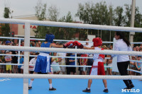 Турнир по боксу в Алексине, Фото: 12