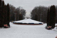 Каток в Центральном парке. Январь 2014, Фото: 6