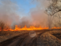 В Федоровке огонь с горящего поля едва не перекинулся на дома, Фото: 8