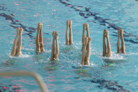 первенство цфо по синхронному плаванию, Фото: 47