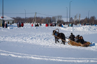 Фестиваль "Зимние забавы на Конном дворе", Фото: 10