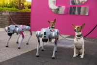 Роботы, игры и световое шоу: Т2 и «ГАЗОН» устроили техно-праздник на Казанской набережной, Фото: 2