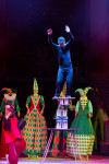 Успейте посмотреть шоу «Новогодние приключения домовенка Кузи» в Тульском цирке, Фото: 56