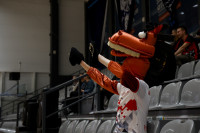 ТЗМС - Алюминика, Фото: 13