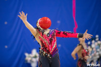 Соревнования по художественной гимнастике на призы благотворительного фонда «Земляки», Фото: 171