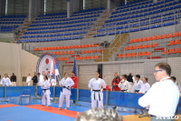 Тульские каратисты на соревнованиях в Сербии, Фото: 7